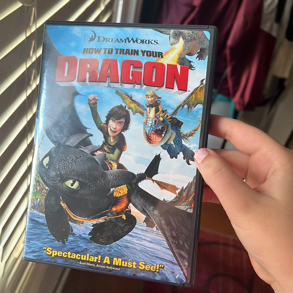 How to train your dragon movie